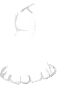 03CNOP05