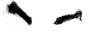 kemoears02